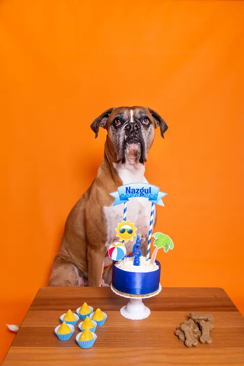 Boxer posando com bolo pet de aniversário